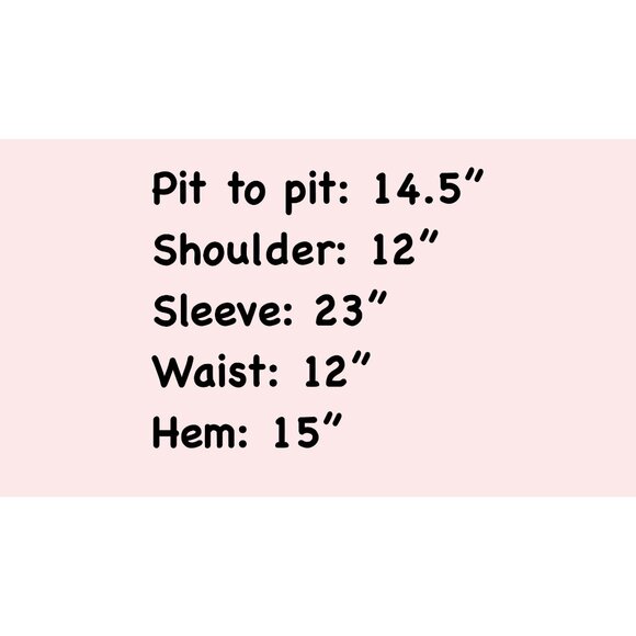 BCBG Maxazria Women's Sheer Eyelet Perforated V-Neck Long Sleeve Pink Size Small - Picture 4 of 4